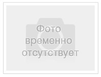 Организация выставки. Грант 2021 г.
